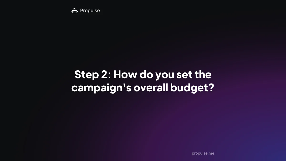 Step 2: How do you set the campaign's overall budget?
