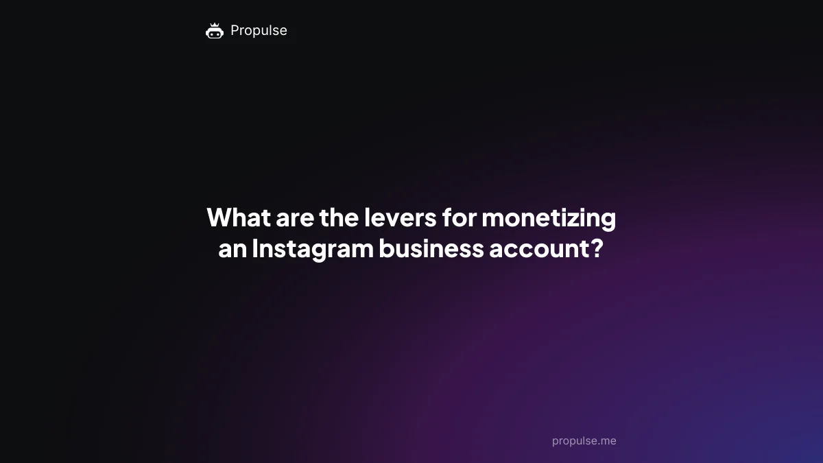 What are the levers for monetizing an Instagram business account?