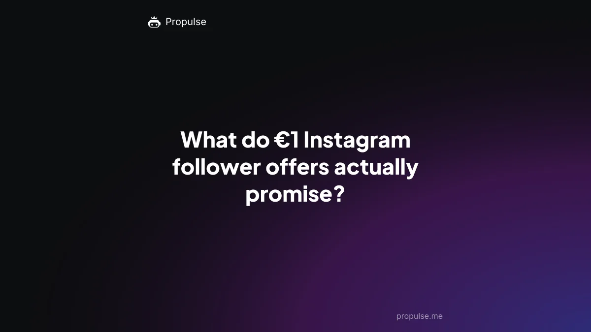 What do €1 Instagram follower offers actually promise?