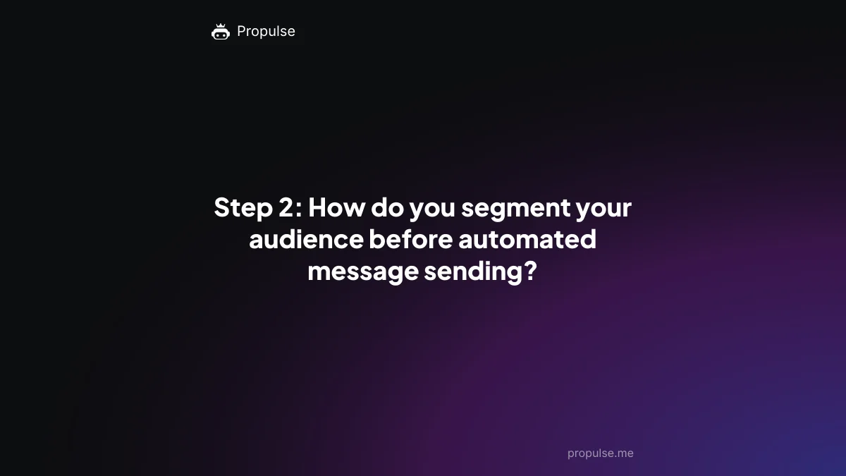 Step 2: How do you segment your audience before automated message sending?