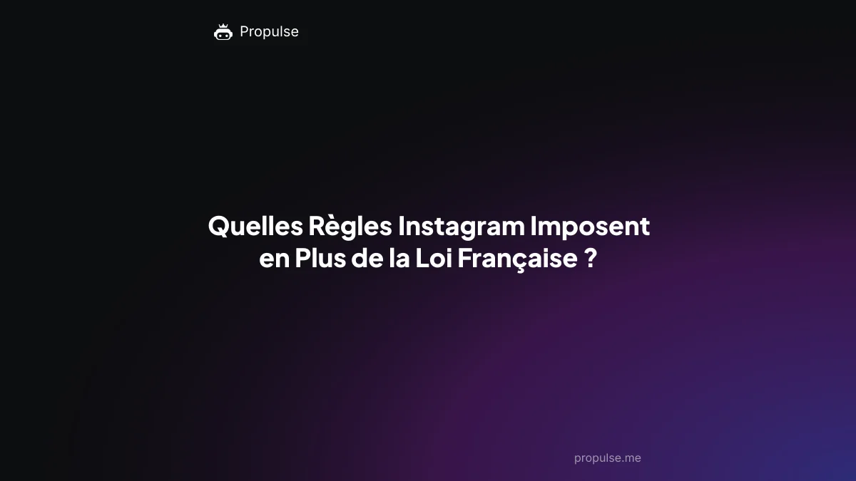 Quelles Règles Instagram Imposent en Plus de la Loi Française ?